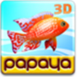 Papaya Fish 3D