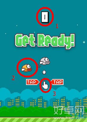 flappy bird新手闯关必看攻略