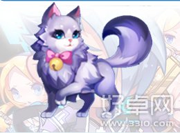 天天酷跑星星的猫全部资料介绍和问题解答