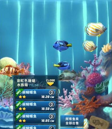 钓鱼发烧友水族箱介绍 水族箱都有哪些